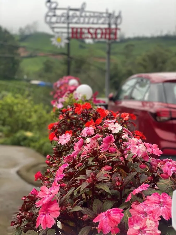 Lodge Edelweiss Resort Munnar