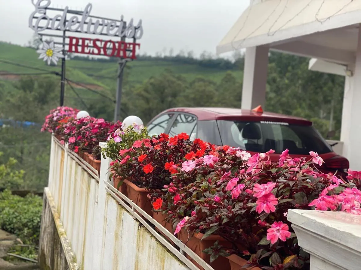 Edelweiss Resort Муннар Деревянный коттедж